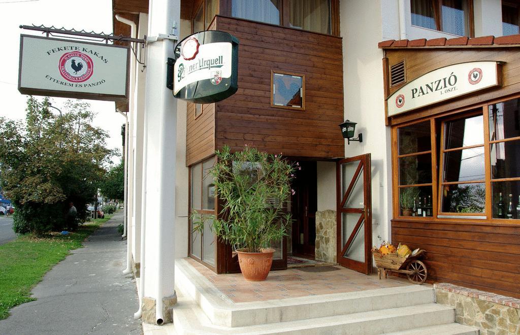Il Gallo Nero (Fekete Kakas Étterem és Panzió)