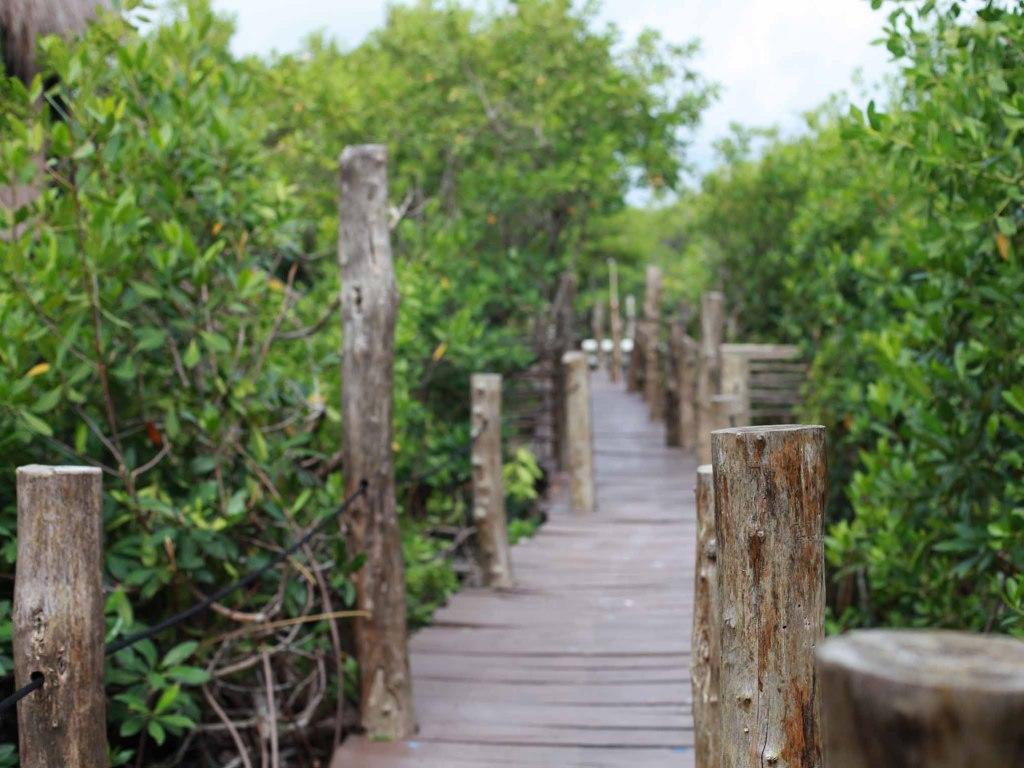 Selvatica Eco Hotel