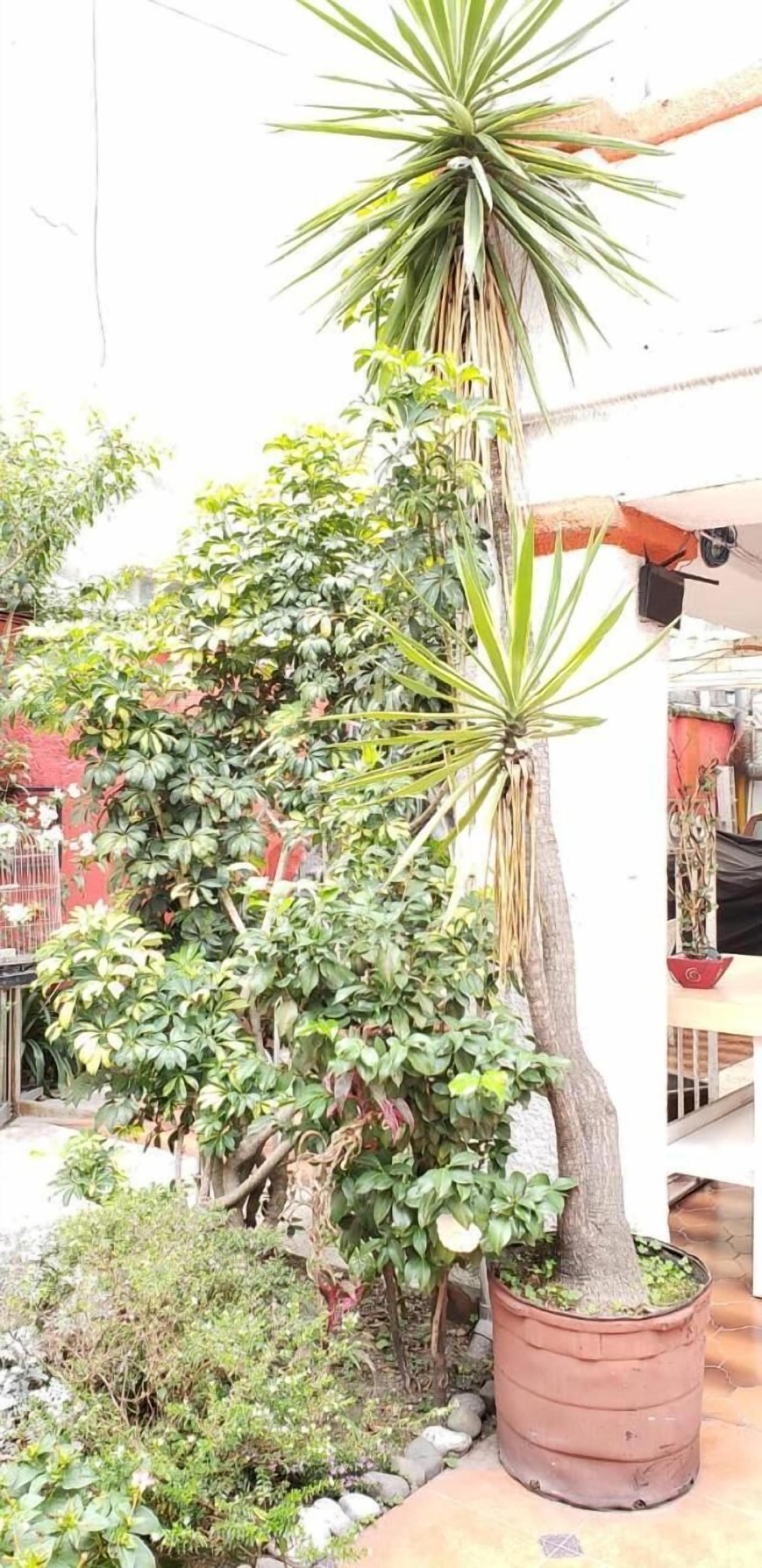 Anys Hostal