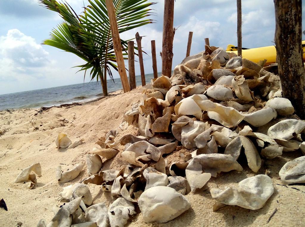Mayan Beach Garden Inn