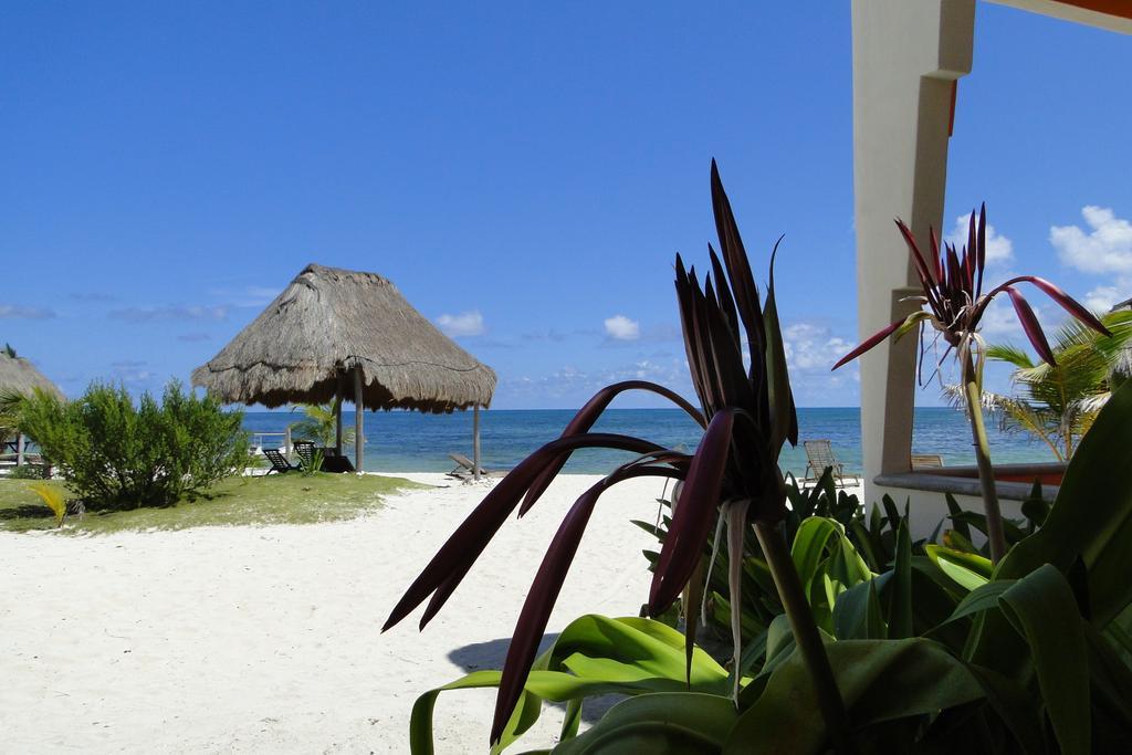 Mayan Beach Garden Inn