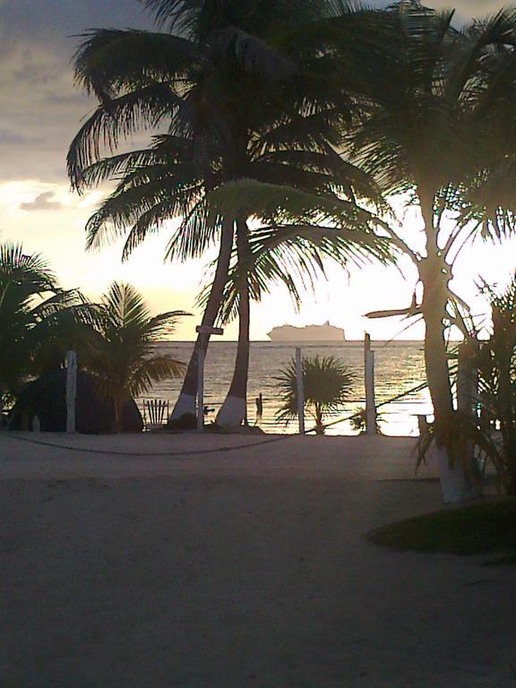 Las Cabañas del Doctor