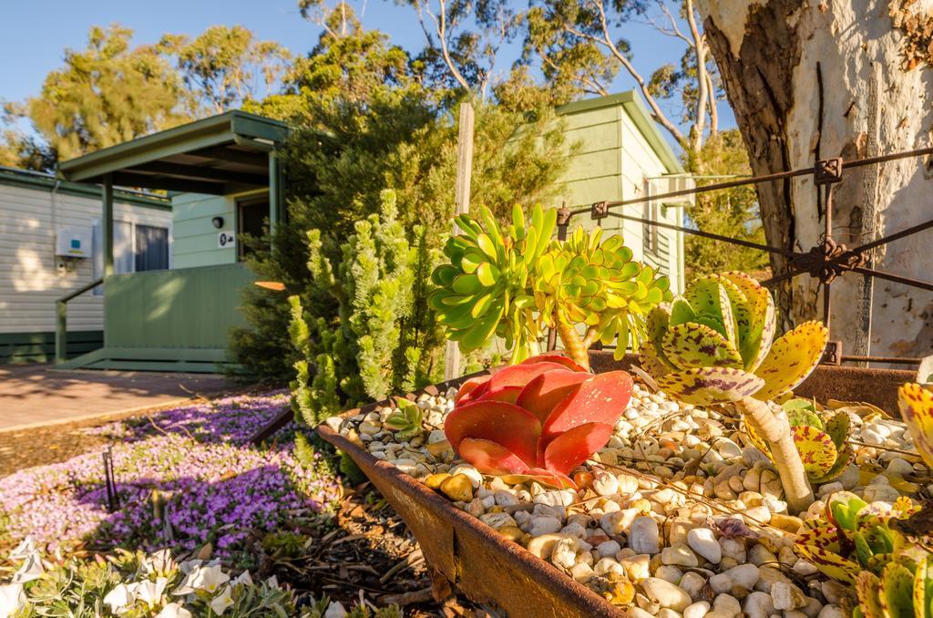 Lake Albert Caravan Park Meningie