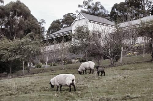 House on the Hill Bed & Breakfast