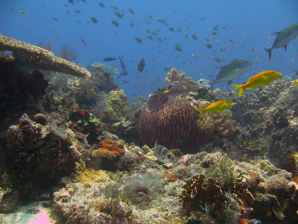 Penida Dive Resort