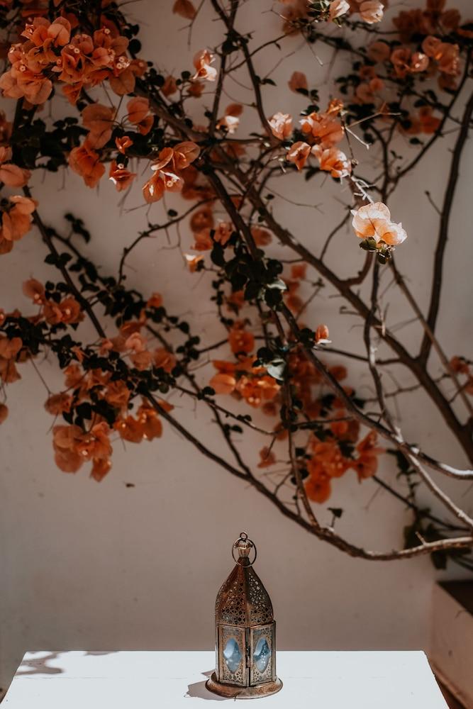 Casa Morgado Boutique Guesthouse