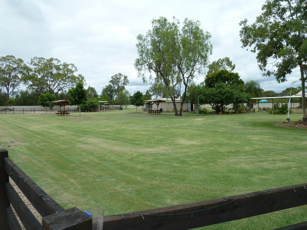 Chinchilla tourist park