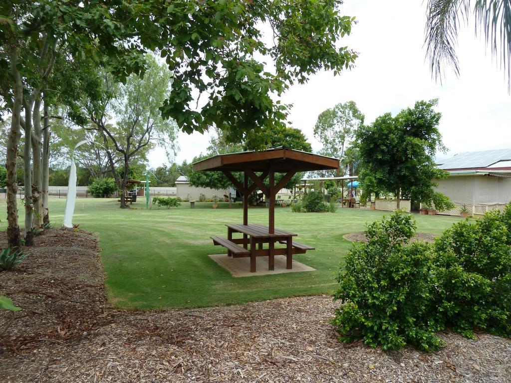 Chinchilla tourist park