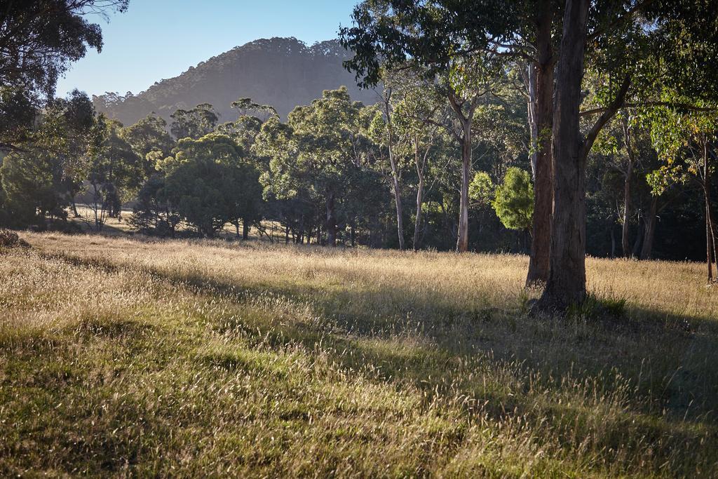 Herons Rise Vineyard Cottages