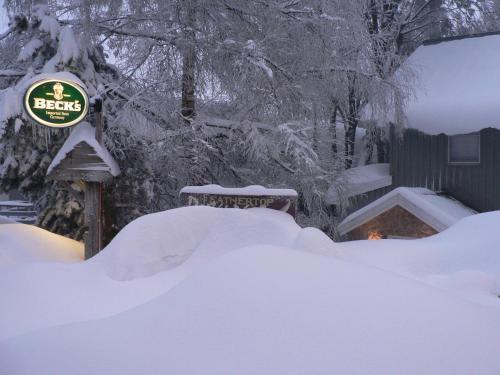Feathertop Alpine Lodge