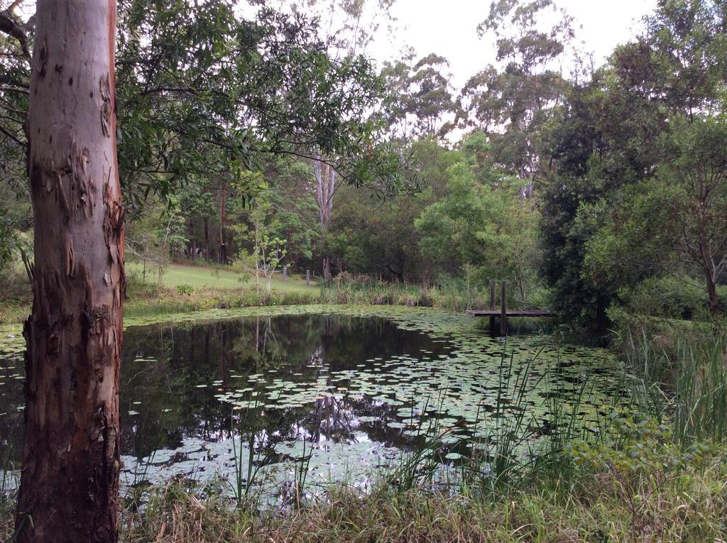 Maleny Country Cottages