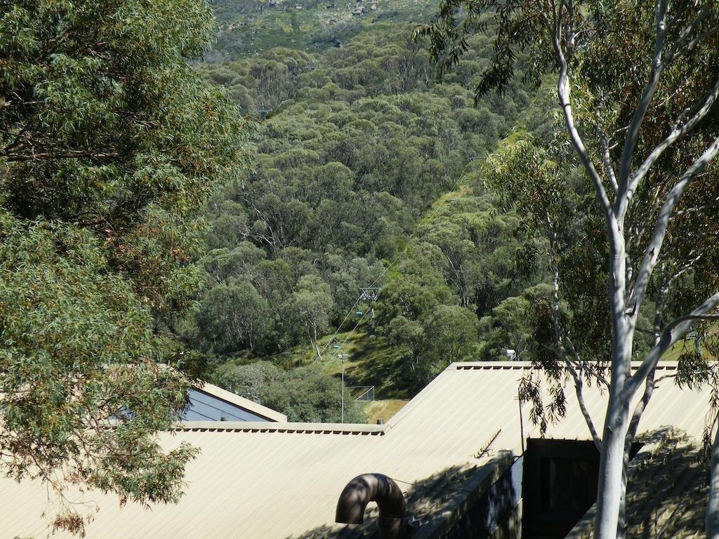 Mowamba A1