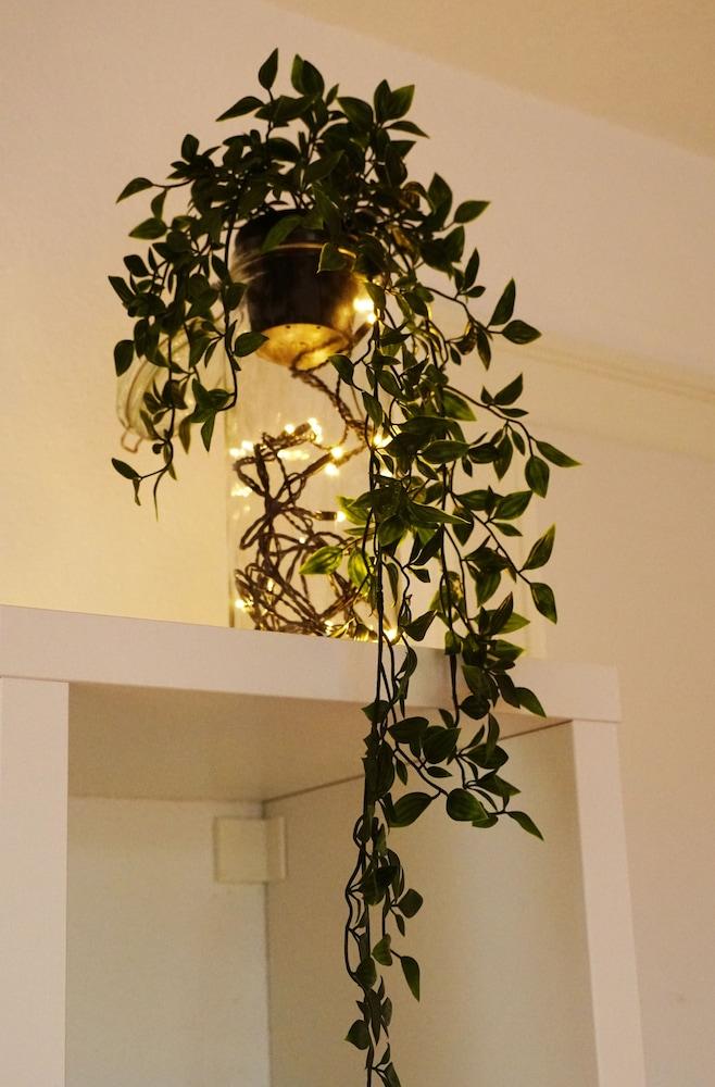 Adventure Guesthouse Interlaken