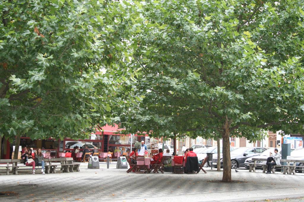 The Republic Garden