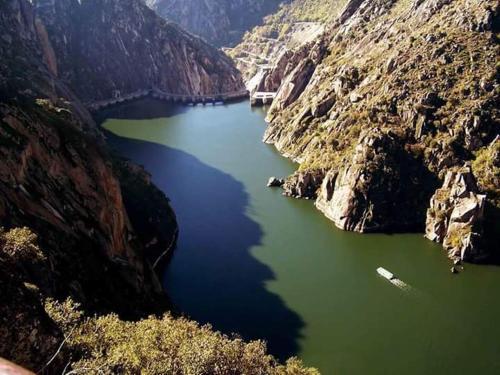 Flor Do Douro