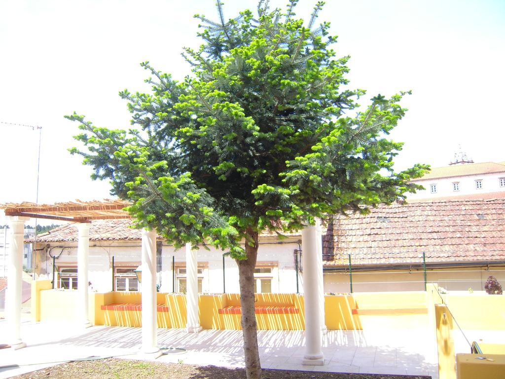 Vila Maior