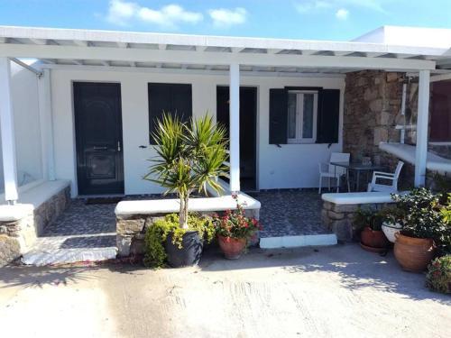 Liana Studios