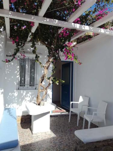 Liana Studios