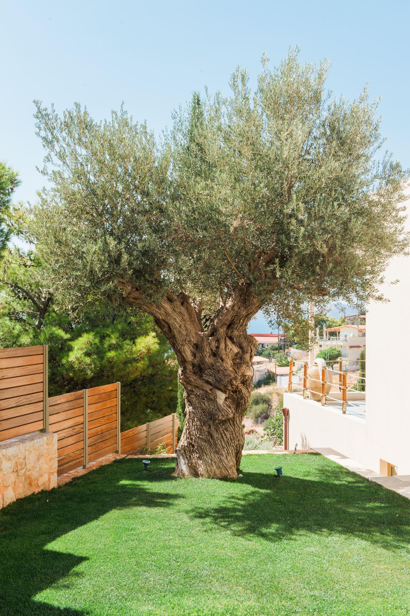 Villa Blue Coast Lagonissi