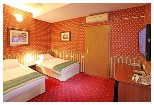 Hotel Janusz