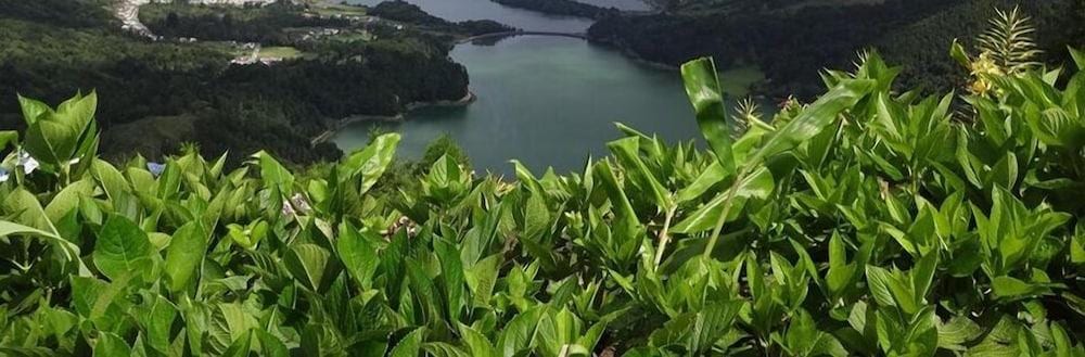 Vila Laura