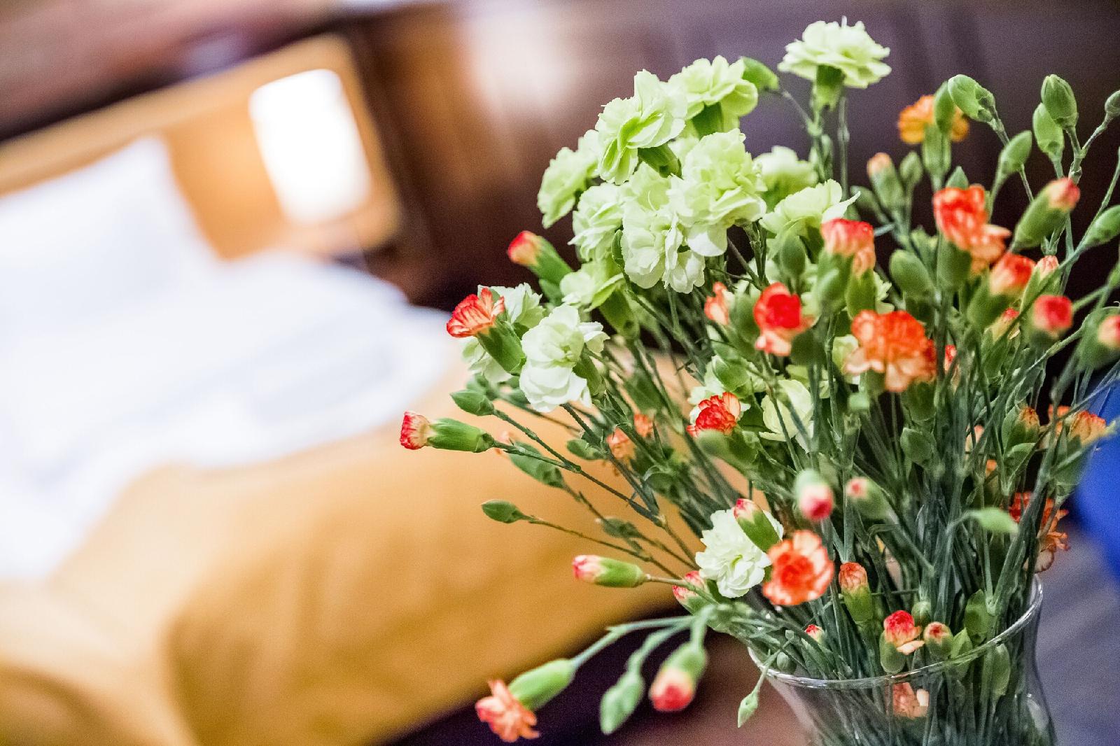 Hotel Palazzo Rosso