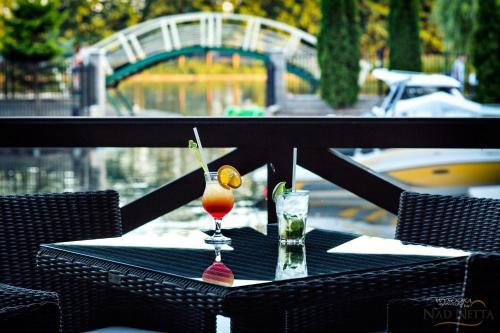 Hotel Nad Netta