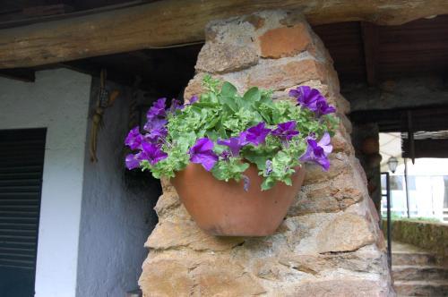 Casa da Quinta de Sao Martinho