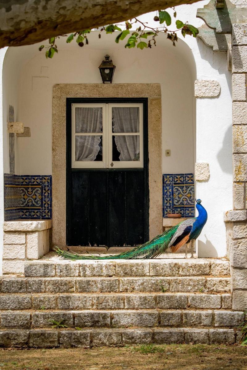 Quinta da Foz