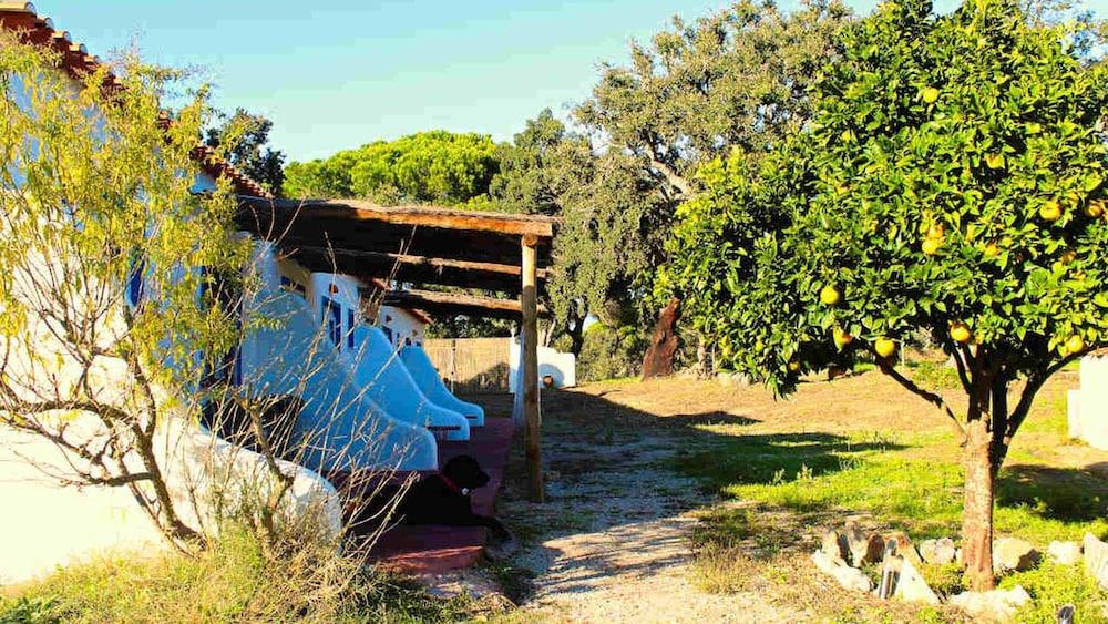 Ponte Pedra - Melides Country House