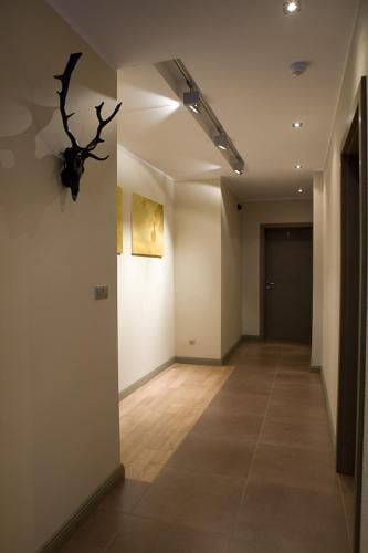 Avalis Apartamenty