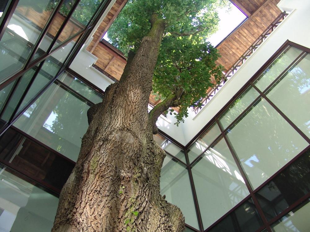 St. George Family & Senior SPA Ciechocinek