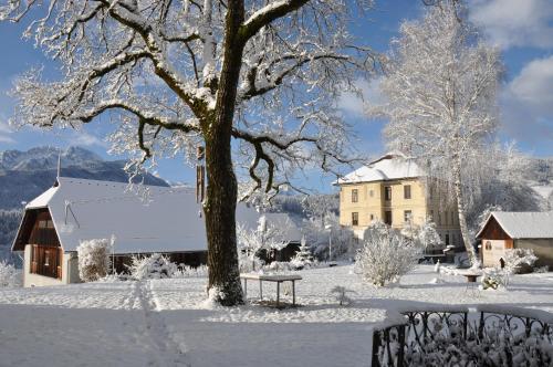 Pension Villa Blumegg