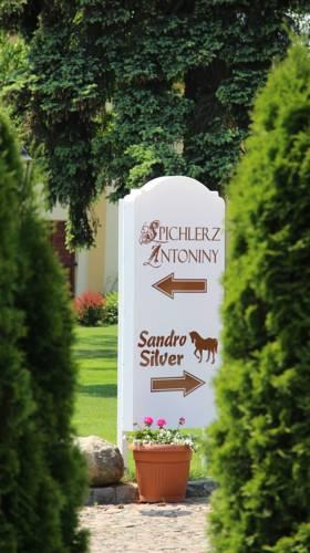 Hotel Sandro Silver