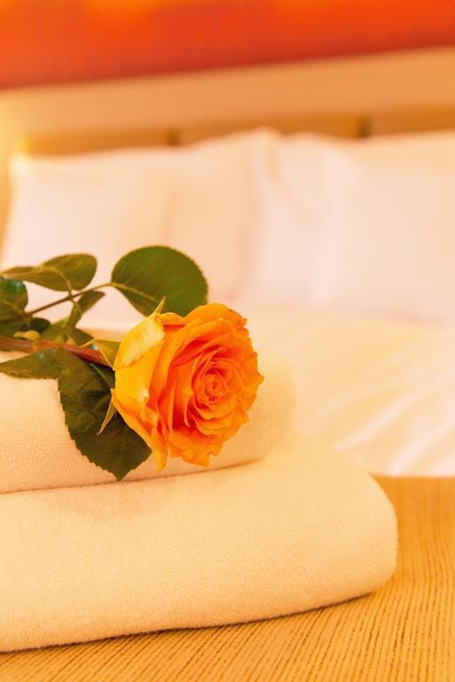 Hotel Amazonka Conference & SPA