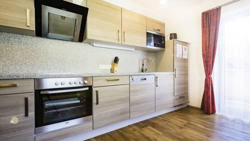 Cityhouse Apartments Schladming