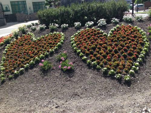 Aparthotel Olympia
