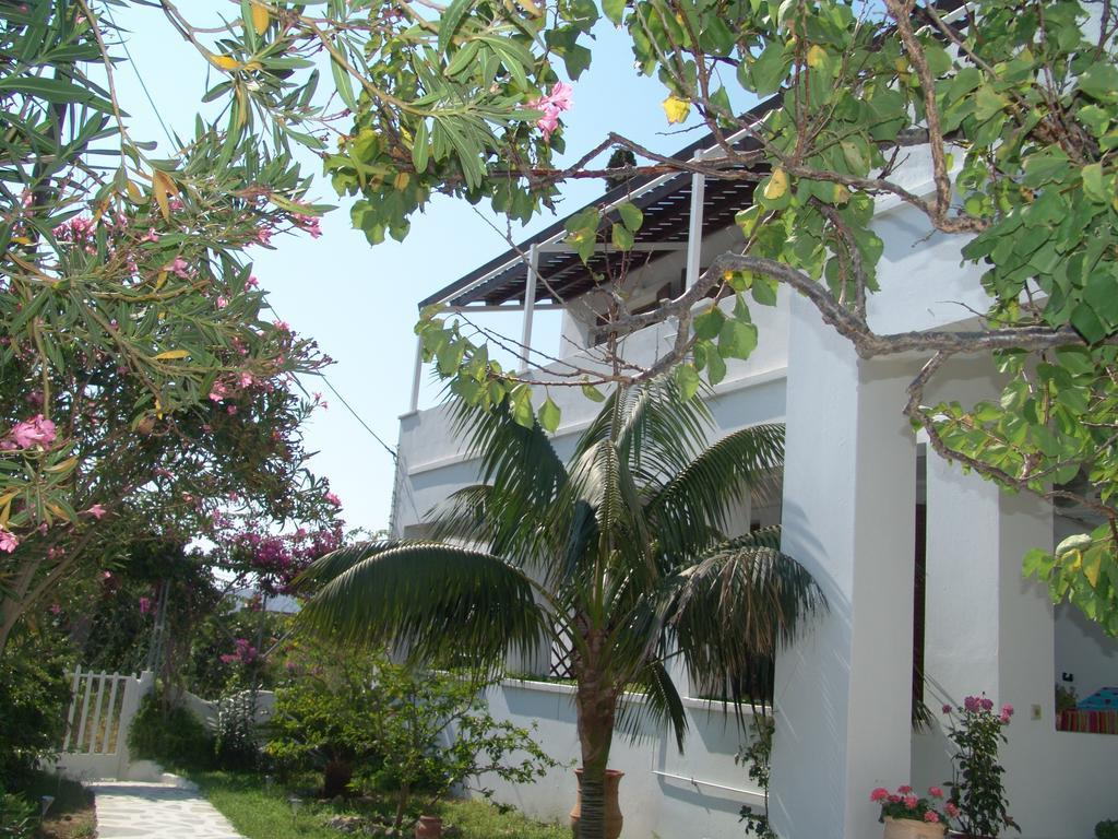 Studios Eliza