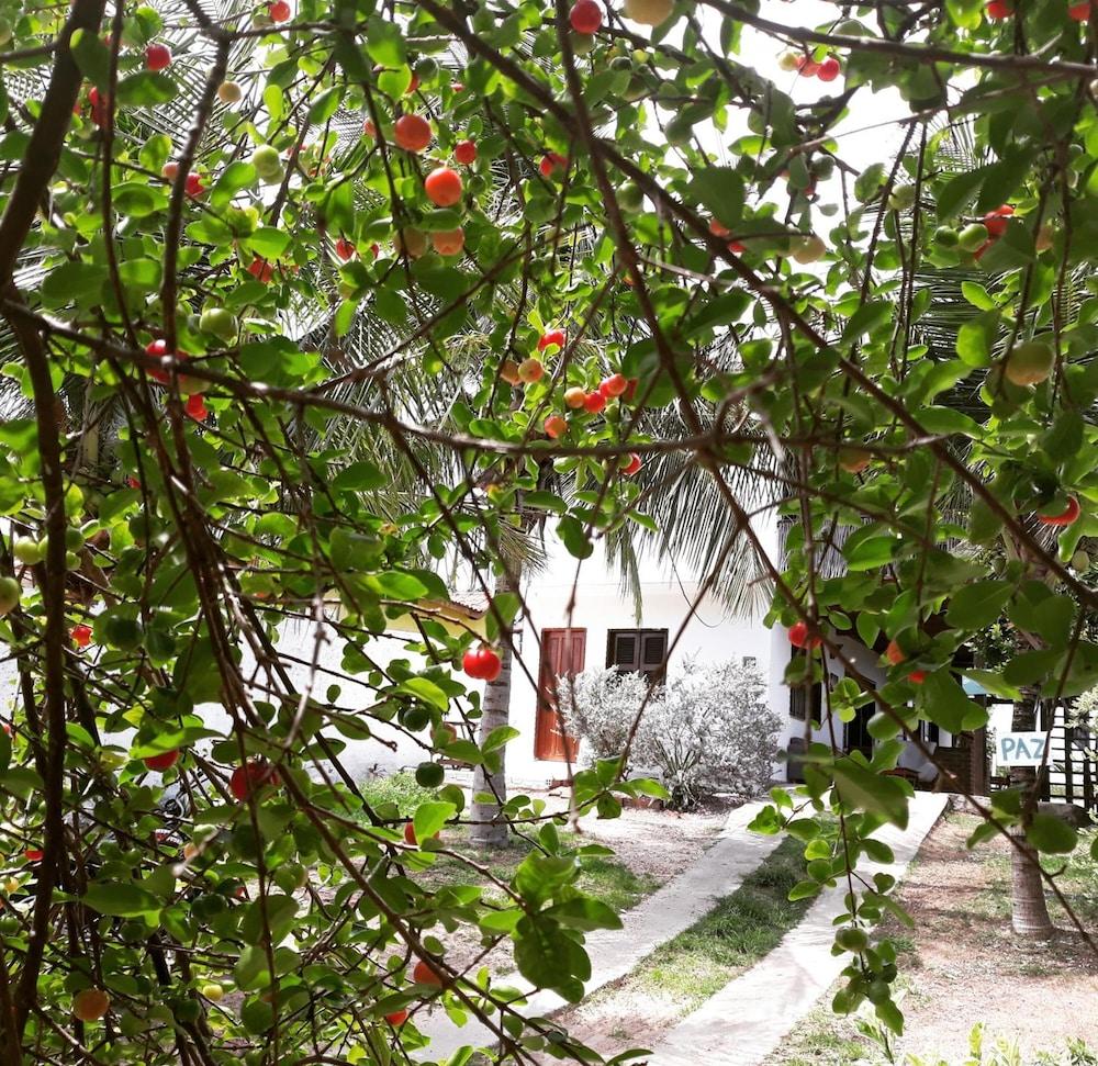 Pousada Brisa Del Mar