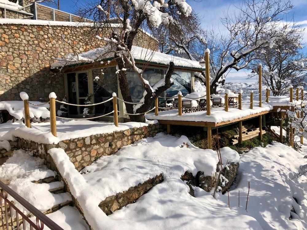 Almond House