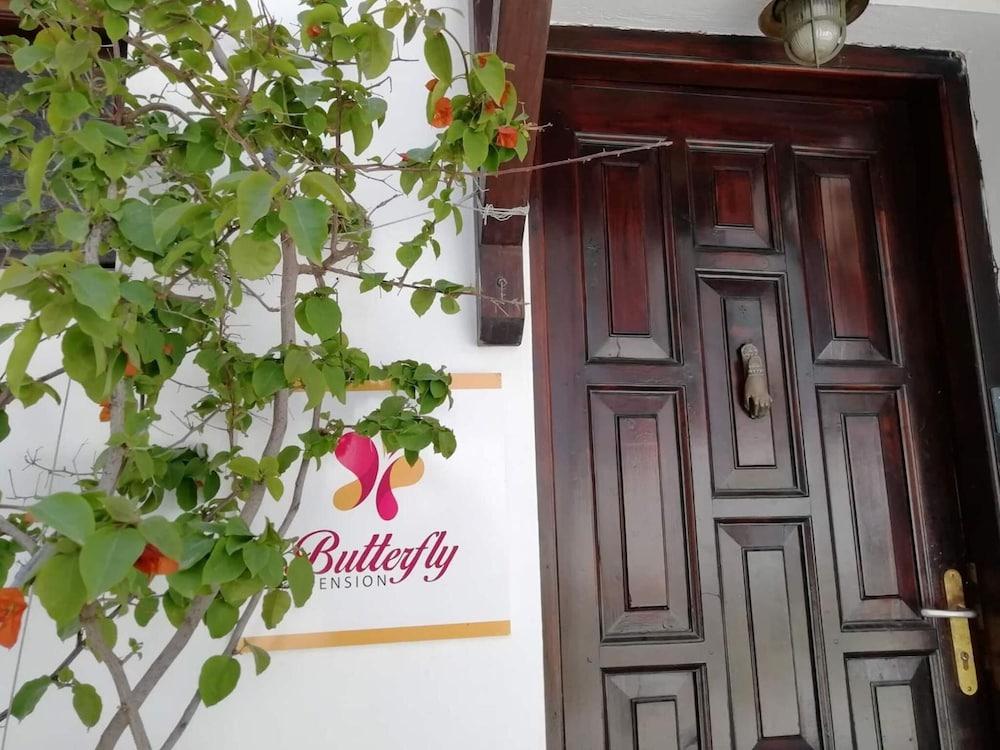 Pension Butterfly