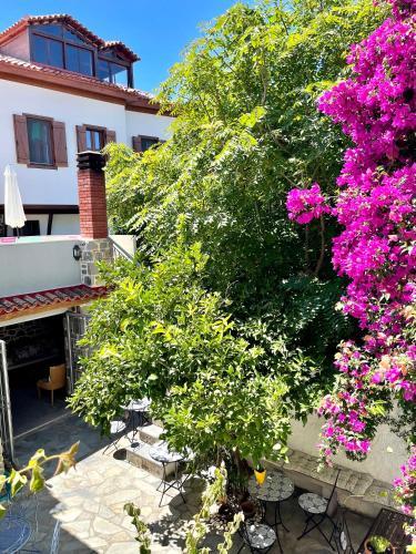Arxontiko Hotel
