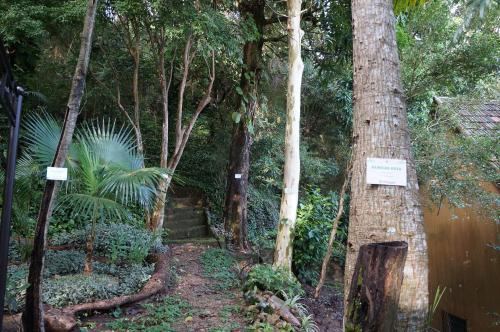 Casa Caminho Do Corcovado