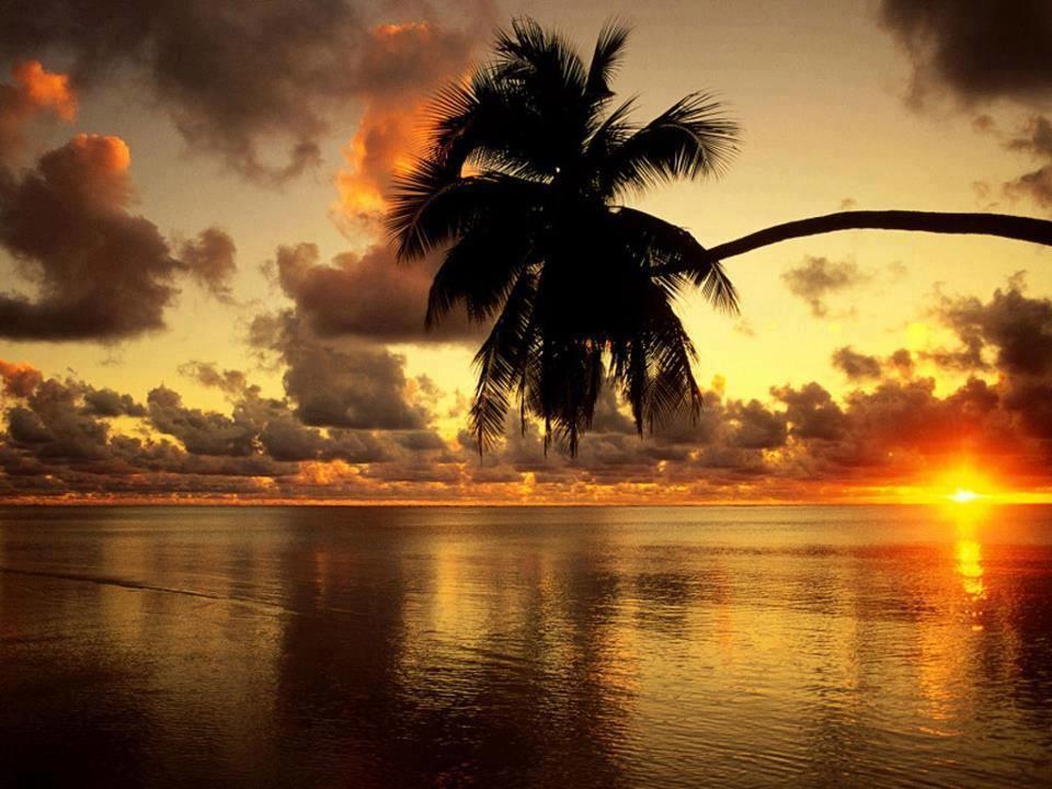 Aloha Village Bangalos