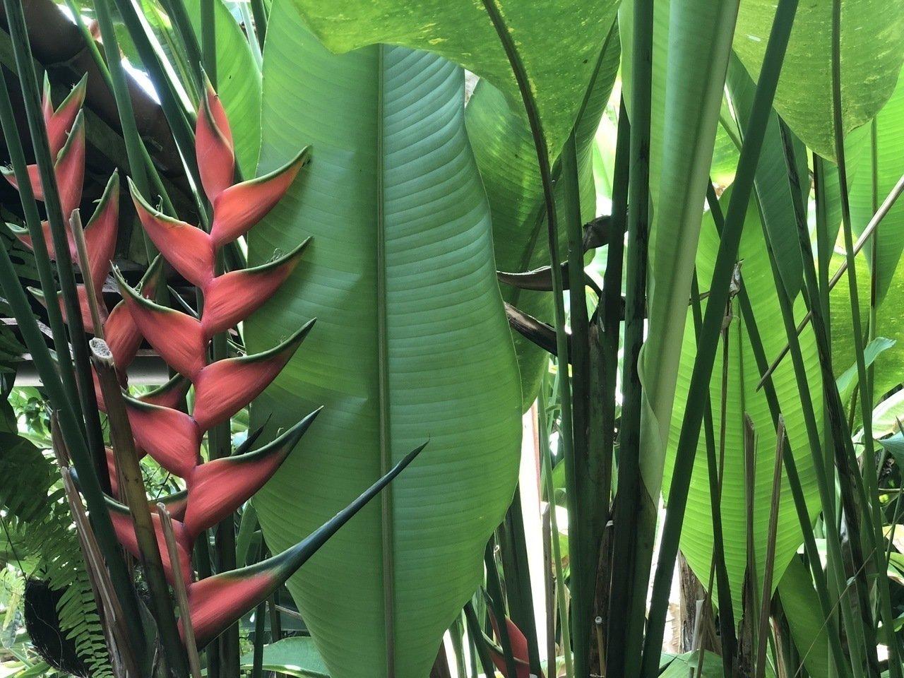 Lua Pousada