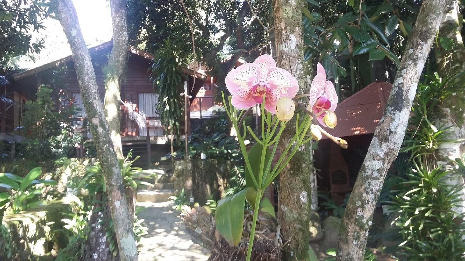 Pousada Mata Nativa