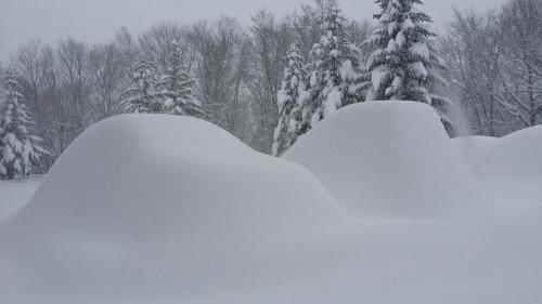 Asama Kogen Hotel
