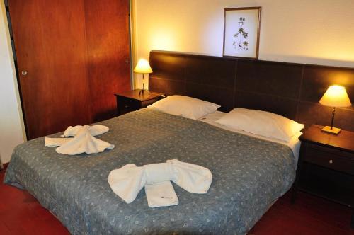 Hotel Nevado