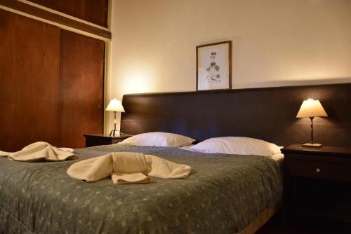 Hotel Nevado