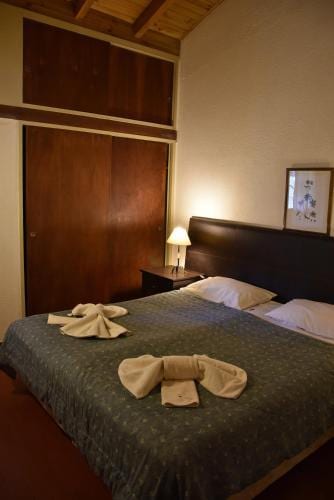 Hotel Nevado